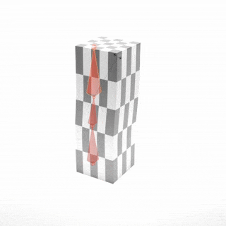 Generated Rig